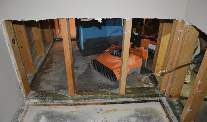 Crawlspace Water Cleanup