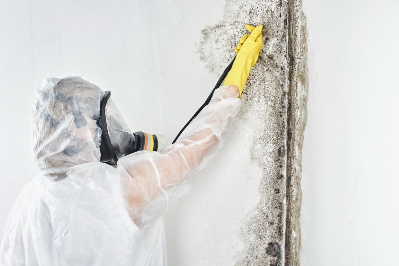 Mold Prevention and Remediation