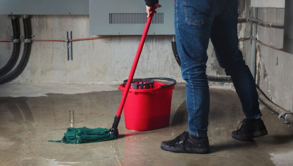 Cost of Flooded Basement Cleanup in Evanston
