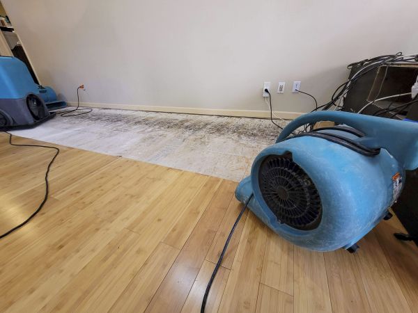 Cost of Water Damage Mitigation in Evanston