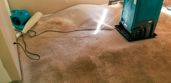 Cost of Flood Damage Cleanup in Evanston