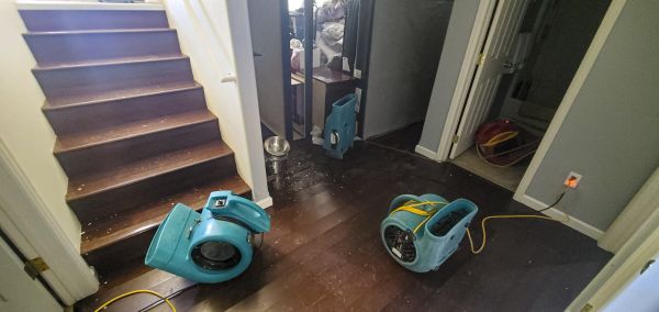 Cost of Water Damage Remediation in Evanston