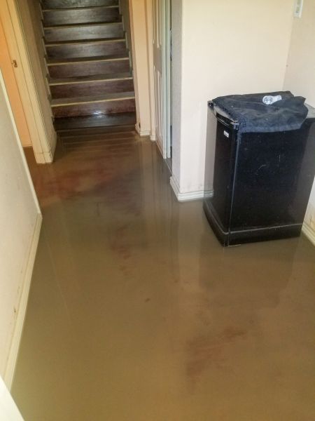 Cost of Emergency Water Removal in Evanston