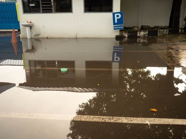 Cost of Storm Damage Repair in Evanston